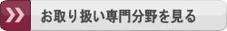 英文校正