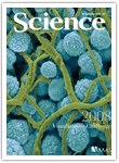 �p���Z����w �T�C�G���X�Eapplied physics letter �_�� �K���Ejournal of immunology �C���p�N�g�t�@�N�^�[