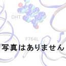 サービス・英文校正地質学