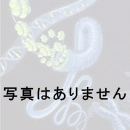 英文校正・英文校正地質学