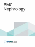 journal - 英文校正