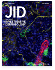 Journal of Investigative Dermatology