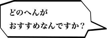 どのへんがおすすめなんですか？