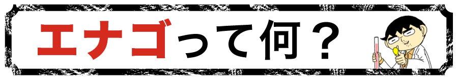 エナゴって何？