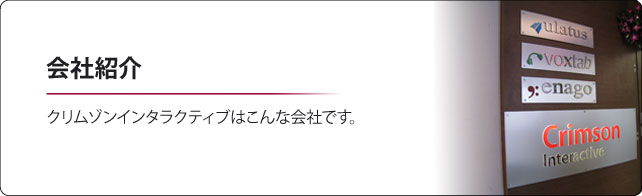 クリムゾンインタラクティブ 会社概要