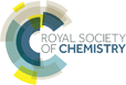 STM-learned-society-royal-society-of-chemistry