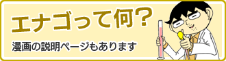 英文校閲自動見積もり