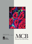 Molecular and Cellular Biology; September 2011 vol. 31 no. 18 3802-3819